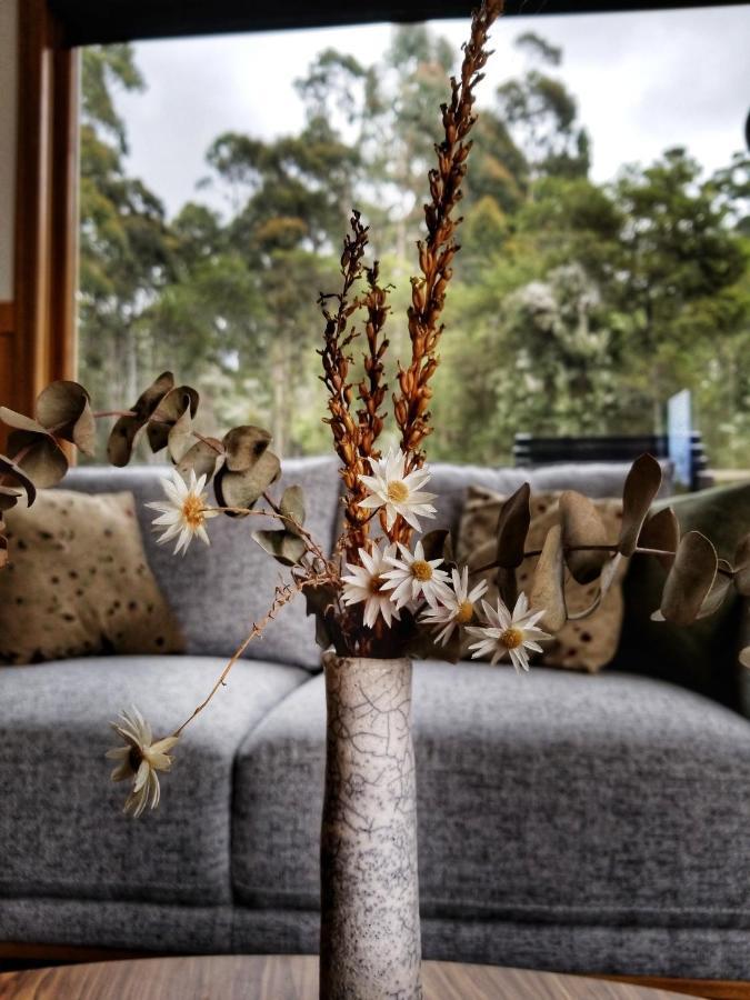 Southport Southern Forest Accommodation מראה חיצוני תמונה