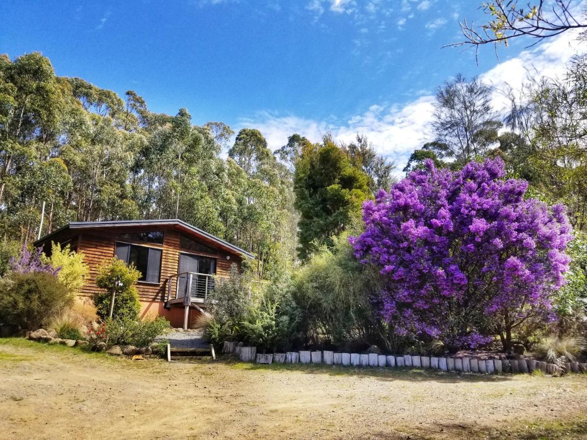 Southport Southern Forest Accommodation מראה חיצוני תמונה